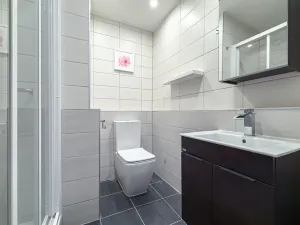 Pronájem bytu 1+1, Jirkov, SNP, 39 m2