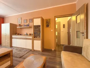 Pronájem bytu 1+1, Jirkov, SNP, 39 m2