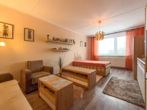 Pronájem bytu 1+1, Jirkov, SNP, 39 m2