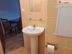 Pronájem bytu 1+1, Ústí nad Labem - Severní Terasa, Šumavská, 37 m2