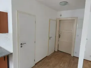 Pronájem bytu 1+kk, Liberec, Vaňurova, 35 m2