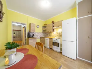 Prodej bytu 2+1, Ostrov, Lidická, 54 m2