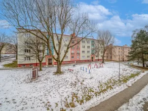 Prodej bytu 2+1, Ostrov, Lidická, 54 m2