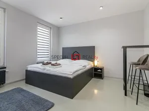 Prodej ubytování, Ostrava, 17. listopadu, 138 m2