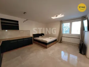 Pronájem bytu 1+kk, Ostrava, Na Lánech, 41 m2