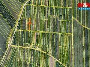 Prodej pole, Moravský Žižkov, 400 m2