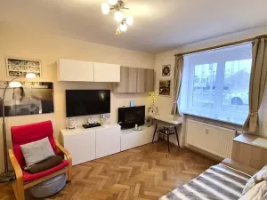 Prodej bytu 1+1, Dobříš, Březová, 31 m2