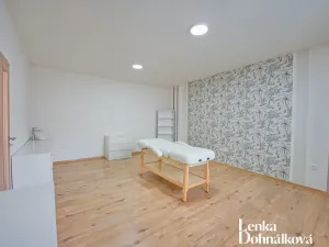 Pronájem komerční nemovitosti, Hodonín, Příční, 46 m2