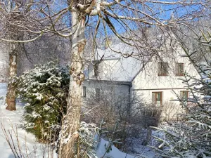 Prodej rodinného domu, Malá Morávka - Karlov pod Pradědem, 209 m2