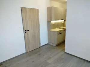 Prodej bytu 2+kk, Hradec Králové - Pražské Předměstí, Veverkova, 34 m2