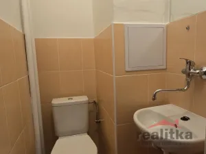 Prodej bytu 1+kk, Opava - Předměstí, Haškova, 14 m2