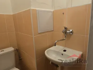 Prodej bytu 1+kk, Opava - Předměstí, Haškova, 14 m2