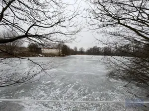 Prodej pole, Pavlov, 2000000 m2