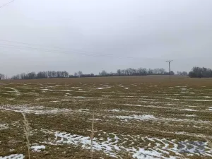 Prodej komerčního pozemku, Pavlov, 2000000 m2