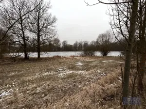 Prodej komerčního pozemku, Pavlov, 2000000 m2