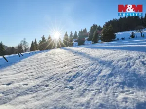 Prodej louky, Malá Úpa - Dolní Malá Úpa, 2445 m2