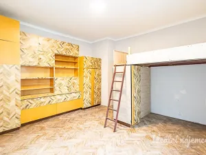 Pronájem bytu 2+1, Praha - Žižkov, Žerotínova, 72 m2