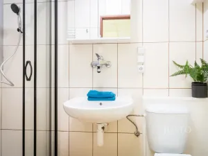 Pronájem rodinného domu, Brno, Kosmákova, 70 m2