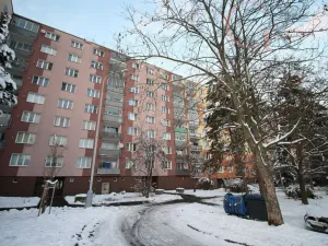 Pronájem bytu 2+1, Plzeň - Severní Předměstí, Elišky Krásnohorské, 65 m2