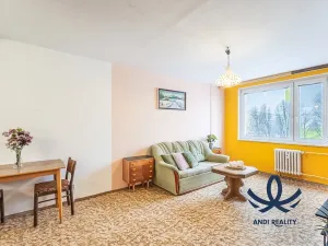 Pronájem bytu 2+kk, Mladá Boleslav, Jana Palacha, 42 m2