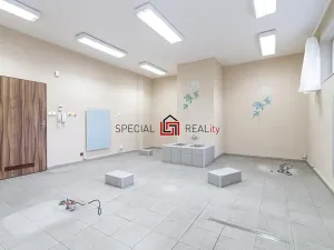 Prodej ordinace, Ostrava, U Staré elektrárny, 169 m2