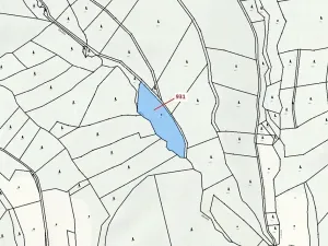 Dražba louky, Jílové u Držkova, 4019 m2