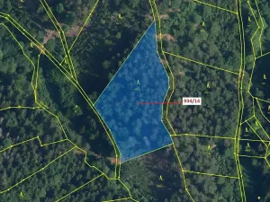 Dražba lesa, Jílové u Držkova, 5751 m2