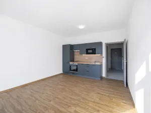 Pronájem bytu 1+kk, Zruč-Senec - Zruč, Sportovní, 42 m2