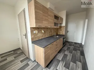 Pronájem bytu 3+1, Bílina - Teplické Předměstí, Sídliště Za Chlumem, 66 m2