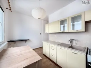 Pronájem bytu 2+1, Duchcov, Horská cesta, 52 m2