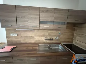 Pronájem bytu 2+1, Chomutov, Dřínovská, 59 m2