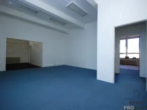 Pronájem obchodního prostoru, Brno, Lidická, 150 m2