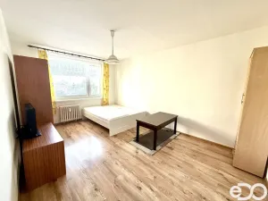 Pronájem bytu 1+1, Hradec Králové, Brožíkova, 44 m2