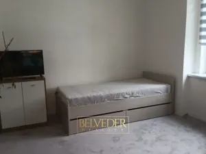 Pronájem bytu 1+1, Teplice, Americká, 38 m2