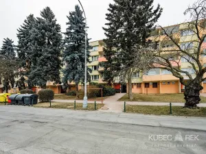 Prodej bytu 3+1, Pelhřimov, Pražská, 64 m2