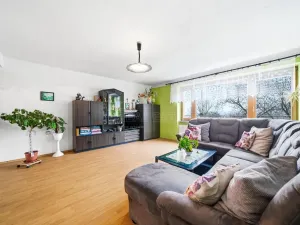 Prodej vícegeneračního domu, Drahanovice - Lhota pod Kosířem, 200 m2