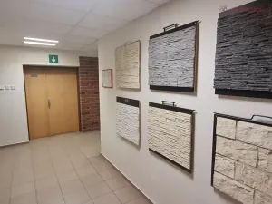 Prodej výrobních prostor, Radslavice, 3300 m2