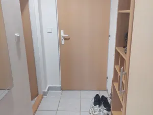 Prodej bytu 1+kk, Brno - Dolní Heršpice, 29 m2