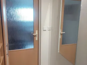 Prodej bytu 1+kk, Brno - Dolní Heršpice, 29 m2