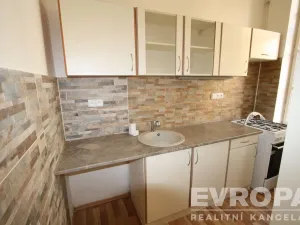 Pronájem bytu 5+kk, Praha - Vinohrady, Mánesova, 120 m2