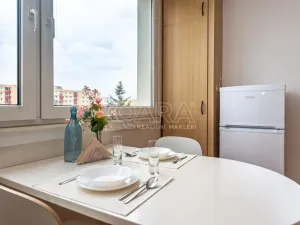 Pronájem bytu 1+1, Mladá Boleslav - Mladá Boleslav II, Jana Palacha, 41 m2