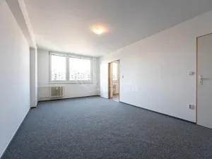 Pronájem bytu 1+1, Mladá Boleslav - Mladá Boleslav II, Jana Palacha, 41 m2