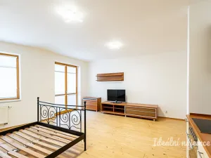 Pronájem bytu 1+kk, Praha - Žižkov, V zahrádkách, 38 m2