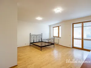 Pronájem bytu 1+kk, Praha - Žižkov, V zahrádkách, 38 m2
