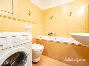 Pronájem bytu 1+kk, Praha - Žižkov, V zahrádkách, 38 m2