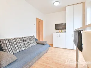 Pronájem bytu 1+kk, Brno - Bystrc, Markůvky, 30 m2