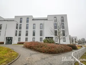 Pronájem bytu 1+kk, Brno - Bystrc, Markůvky, 30 m2