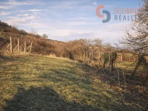 Prodej pozemku pro bydlení, Pavlov, Na Cimbuří, 849 m2