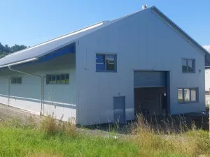 Pronájem výrobních prostor, Valašské Meziříčí - Bynina, 820 m2