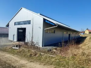 Pronájem výrobních prostor, Valašské Meziříčí - Bynina, 820 m2